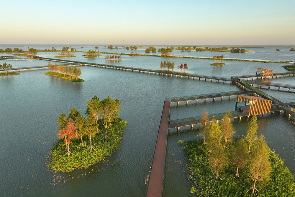 昔日圈圩區(qū) 今朝景觀園